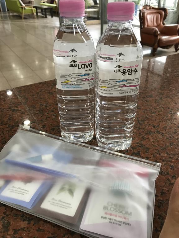 Jeju Seoul Tourist Hotel Εξωτερικό φωτογραφία